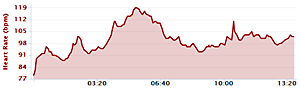 Data från Garmin