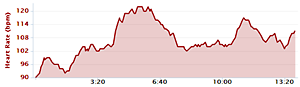 Data från Garmin