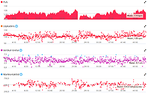 Pulskurva från löpningen