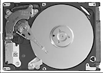 Western Digital 250 GB disk