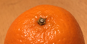 Mandarin