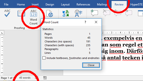 Microsoft Word menus